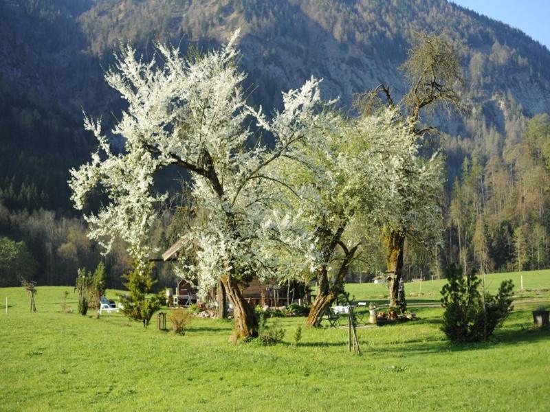 Hansenbauernhof Inkl. Chiemgaukarte روهبولدنغ المظهر الخارجي الصورة