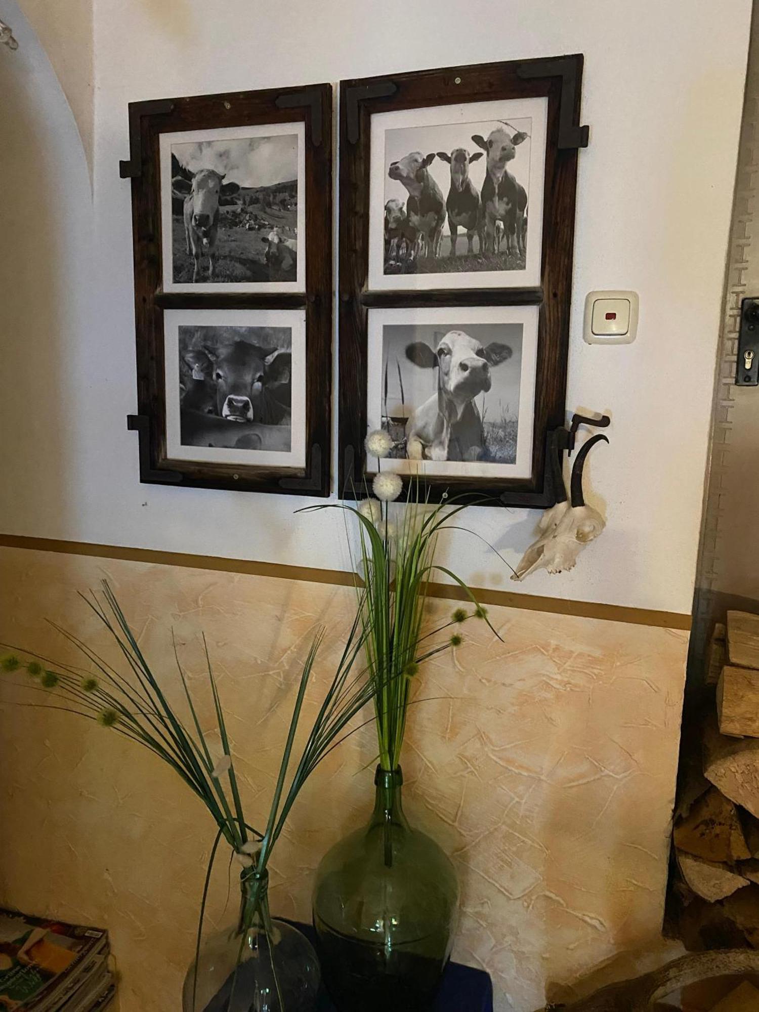 Hansenbauernhof Inkl. Chiemgaukarte روهبولدنغ المظهر الخارجي الصورة